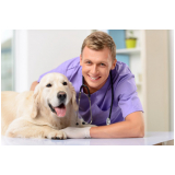 clínica pet para cachorro agendar Bela Vista