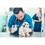clínica que faz vacina de raiva cachorro Santana