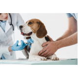 clínica que faz vacina leishmaniose canina Campos Da Escolástica
