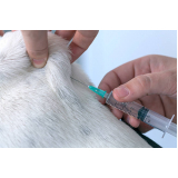 clínica que faz vacinas para cachorros filhotes Santa Cecília