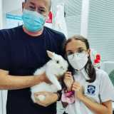 clínica veterinária cães e gatos contato Vila Lório