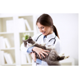 clínica veterinária cães e gatos telefones Vila Lório
