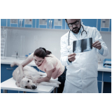 clínica veterinaria com raio x endereço Sumarezinho