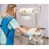 clínica veterinaria com raio x telefone Parque Vila Lobos