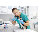 consulta com ozonioterapia medicina veterinária Vila Cavaton