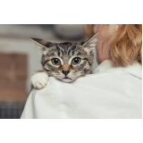 consulta com veterinaria de felinos Vila Cavaton