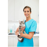 consulta com veterinário especializado em felinos Pinheiros