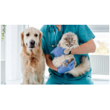 consulta com veterinários especialistas em gatos Bom Retiro