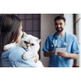 consulta de clínica veterinaria especializada em gatos Bela Vista