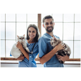 consulta de endocrinologia para animais Freguesia do Ó