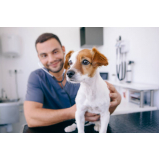 consulta de veterinaria especialista em olhos de cachorro Vila União