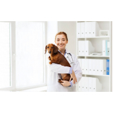 consulta de veterinário especialista em cachorro Freguesia do Ó