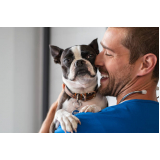 consulta de veterinário especialista em ouvido de cachorro Pinheiros