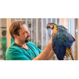 consulta em clínica para aves Vila Leopoldina