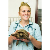 consulta em clínica veterinária animais silvestres Santana