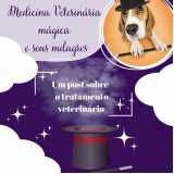 consulta para cachorro Vila Cavaton