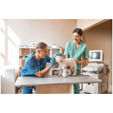 especialidades em medicina veterinária consulta Pacaembu