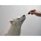 homeopatia para cachorro valores Vila Buarque