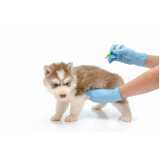 onde encontrar vacina antirrábica cachorro Ibirapuera