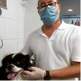 onde faz consulta dermatológica para cachorro Vila União