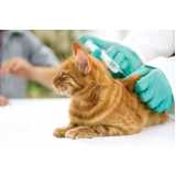 onde tem vacina antirrábica para gato Butantã