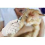 onde tem vacina para gato filhote Perdizes