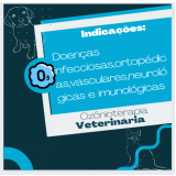 ozonioterapia para animais Vila Romana