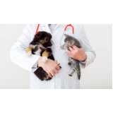 ozonioterapia para cães valor Ibirapuera