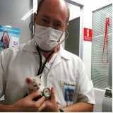 telefone de clínica veterinária animal Vila Romana