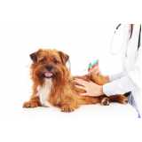 vacina contra raiva de cachorro valor Vila Iório