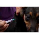 vacina contra raiva para cachorro valor Vila Lório