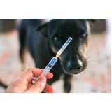 vacina da raiva cachorro valor Barra Funda