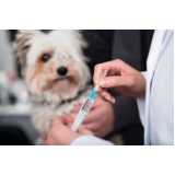 vacina da raiva cachorro Vila Madalena