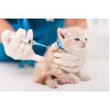 vacina da raiva para gato Vila Barra Funda
