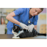 vacina gato agendar Consolação