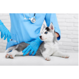 vacina para raiva cachorro marcar Jaguaré