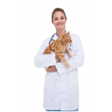 veterinaria de felinos Bela Vista