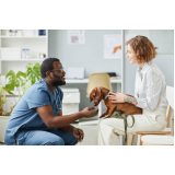 veterinário cães contato República