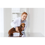 veterinário especialista em cachorro contato Parque Vila Lobos