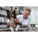veterinário especialista em ouvido de cachorro contato Paulista