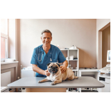 veterinário gastroenterologista consulta Bairro do Limão
