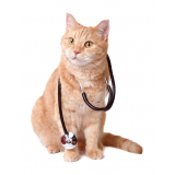 veterinário para gato contato Vila Cavaton