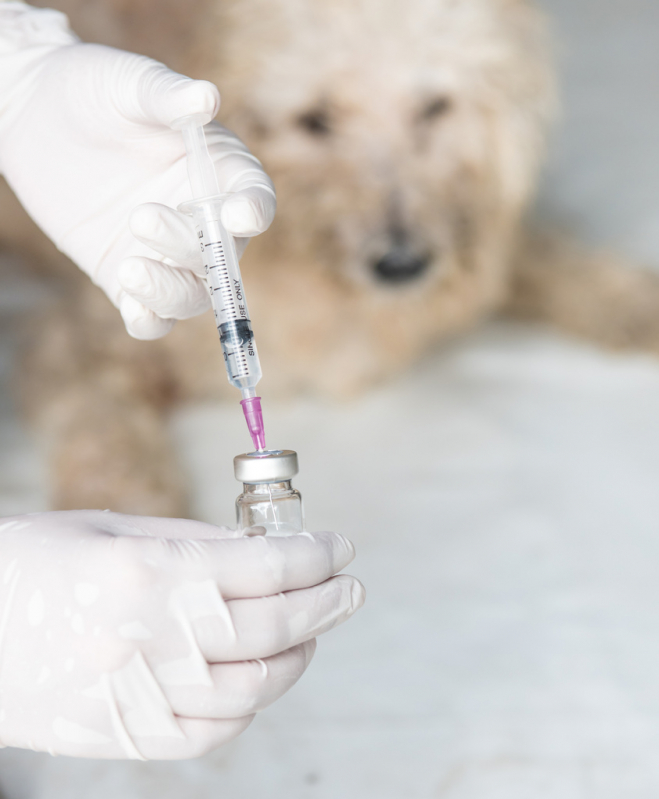 Vacina Animal Antirrábica Valor Bairro Urbanizadora - Vacina Animal