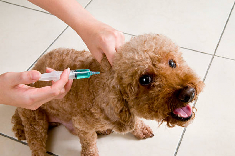Vacina Antirrábica em Cachorro Vila Picinin - Vacinas para Cachorros Filhotes