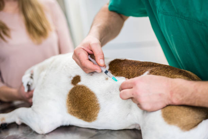 Vacina Leishmaniose Canina Marcar Barra Funda - Vacina Polivalente Cachorro