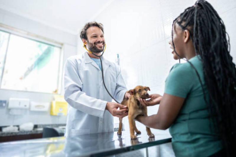 Veterinaria Pró Cão Telefone Vila São Vicente - Veterinário Especialista em Ouvido de Cachorro