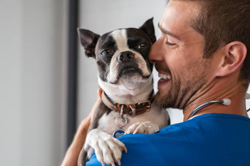 Veterinário 24 Horas Perto de Mim Contato Bairro Urbanizadora - Veterinárias