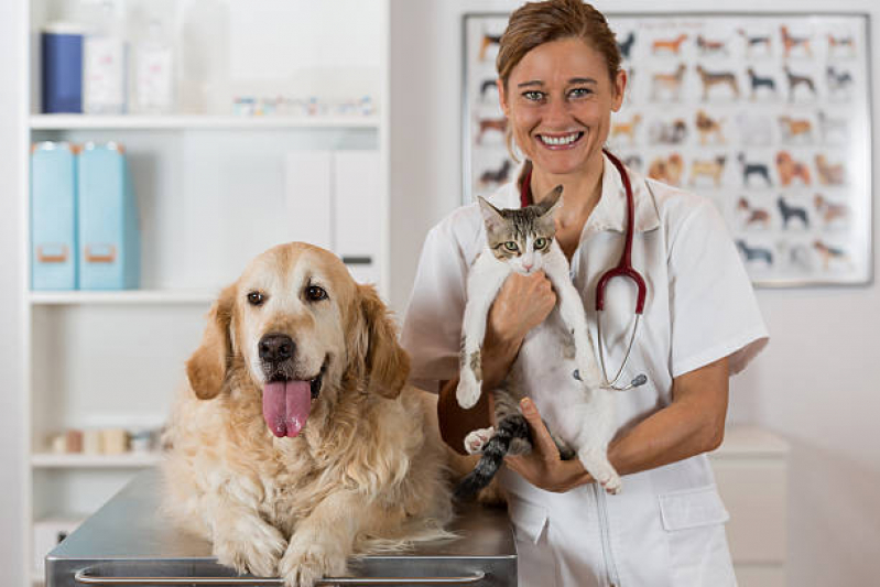 Veterinário Especialista em Cachorro Pacaembu - Veterinário para Cachorro
