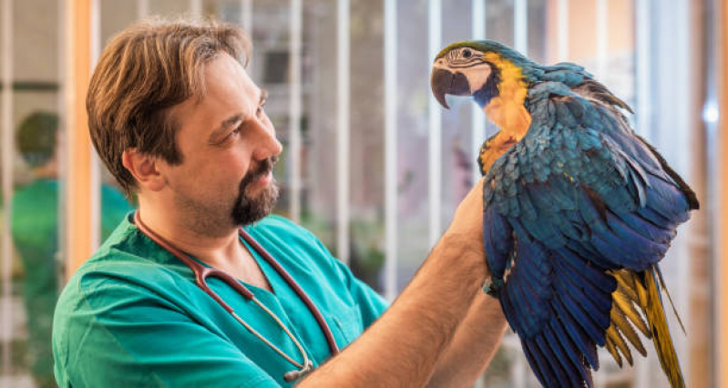 Veterinario para Animais Silvestres Jardim Europa - Clínica Veterinária para Aves